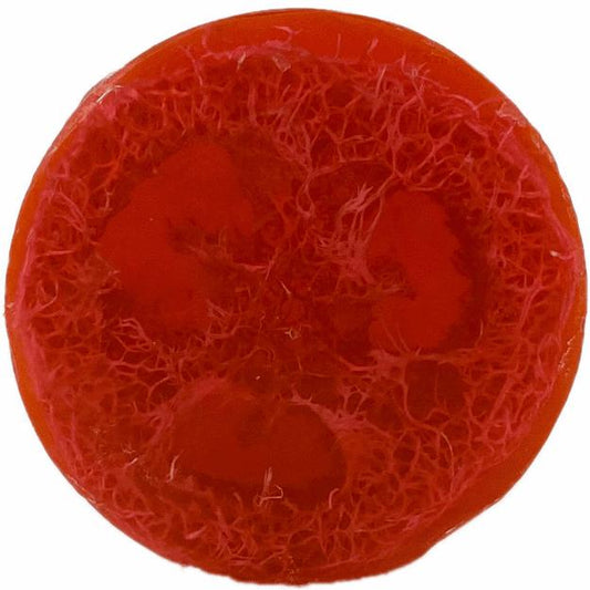 Watermelon Loofah Soap
