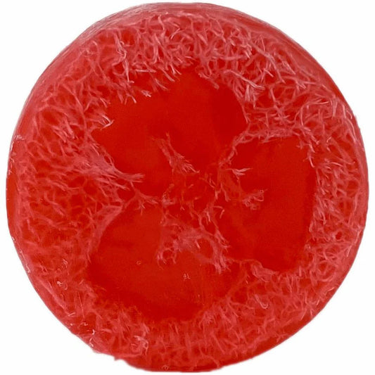 Candy Cane Loofah Soap